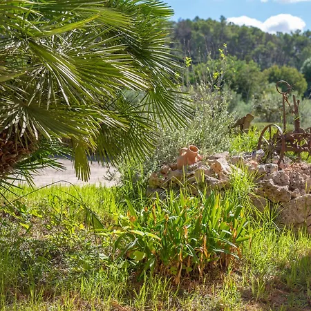 Agroturismo Es Rafal, *